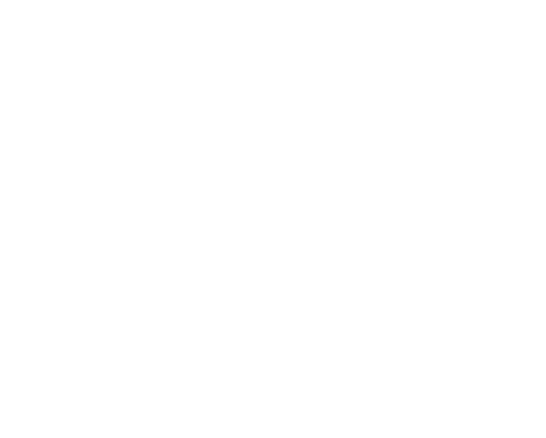 ANH-LOGO