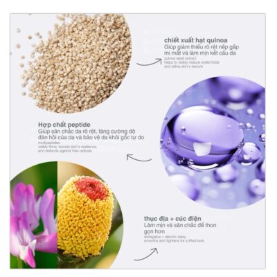 Phyto nature lifting eye cream